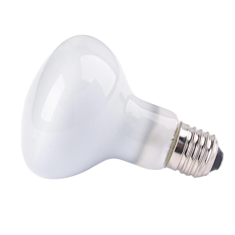 Basking Bulb Halogen - Amfibiler için Sıcaklık Kontrol Cihazı Isıtıcı