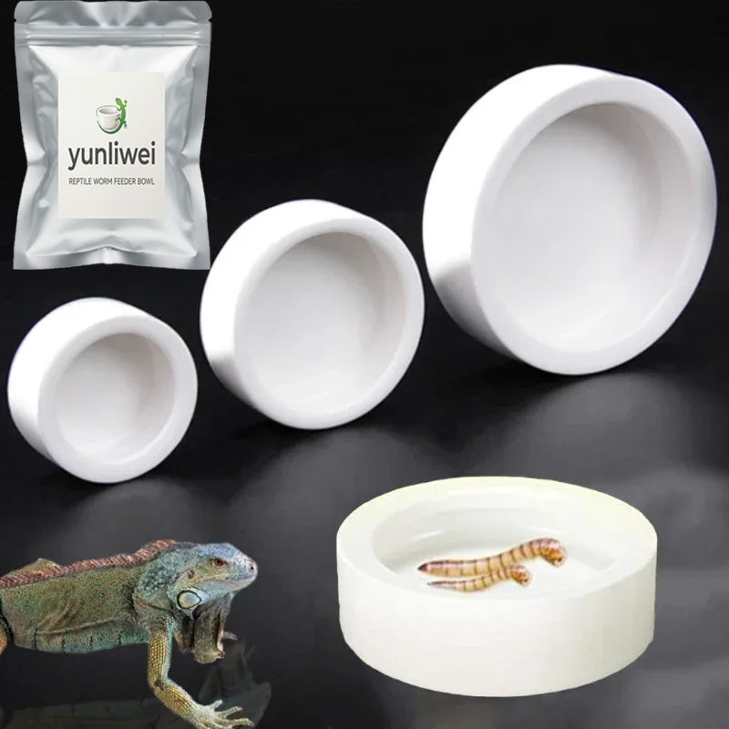 Water Dish Reptile - Sürüngen Mama Kabı Kaçış Önleyici Seramik