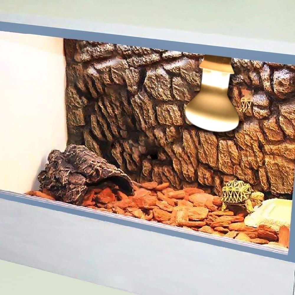 Amfibiler için Sıcaklık Kontro - Basking Bulb Halogen incelemesi ve fiyatı