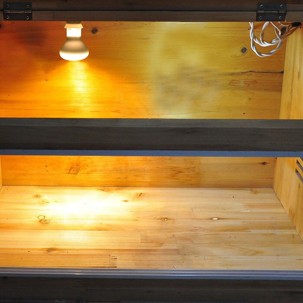 Kaplumbağa Isıtıcı Sıcaklık Ko - Basking Bulb Halogen incelemesi ve fiyatı