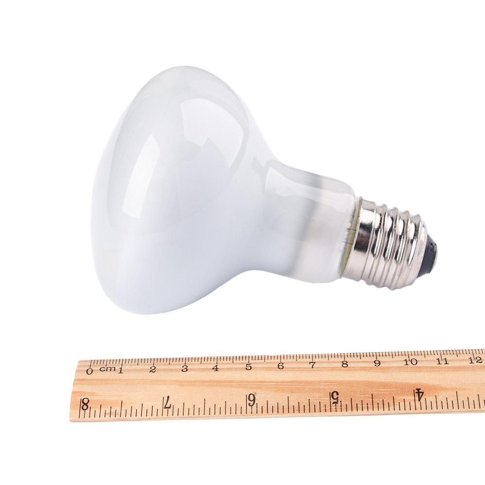 Kaplumbağa Isıtıcı Sıcaklık Ko - Basking Bulb Halogen incelemesi ve fiyatı