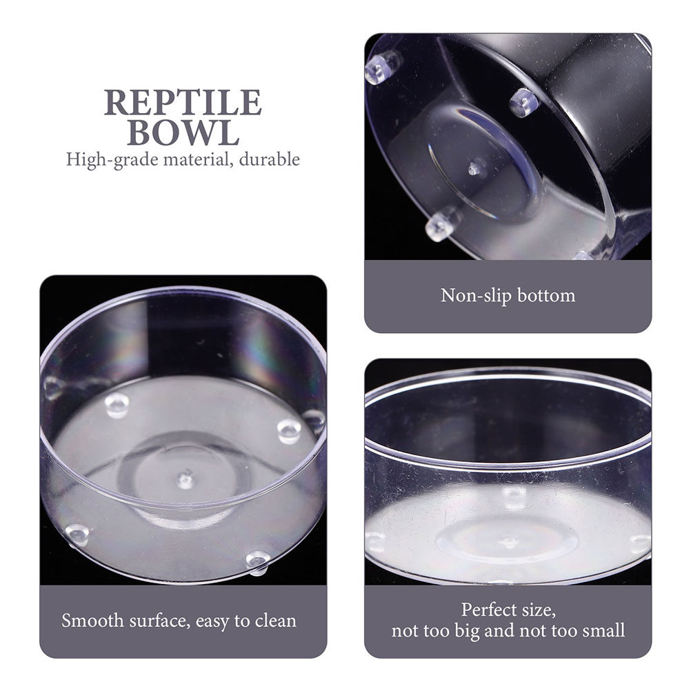 10 Adet Akrilik Sürüngen Yem K - Water Dish Reptile incelemesi ve fiyatı